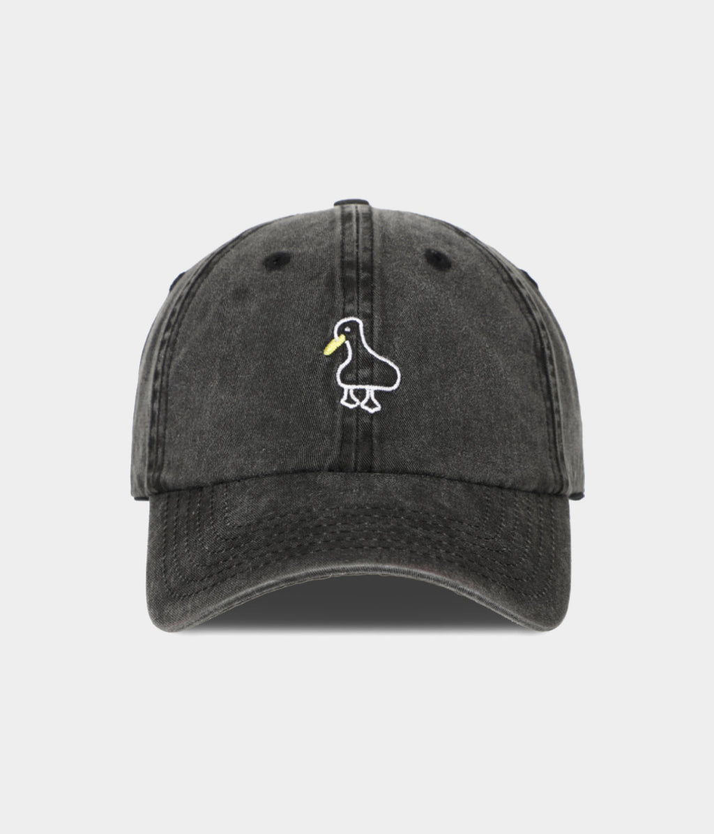WASHED DUCK.
