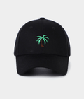 PALM TREE.